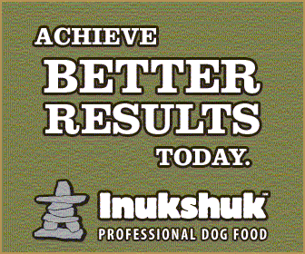 AchieveBetterResultsToday36280green.gif