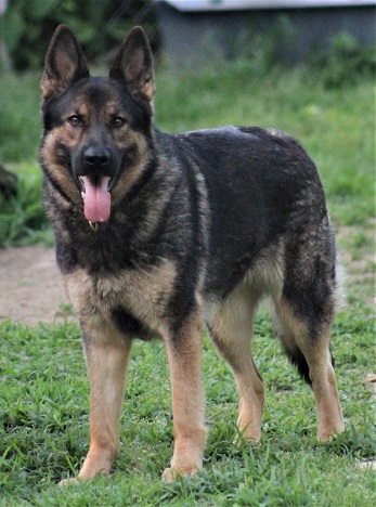 Nelli2924cropsm.jpg