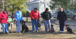 PuppyClasses2009005xsm.jpg